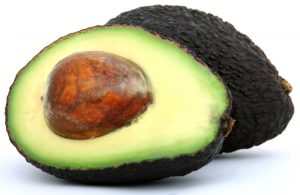 avocado dangers